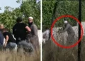 په طوفان الاقصی کې د ګډون لپاره، غزه شرط نه ده!