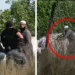 په طوفان الاقصی کې د ګډون لپاره، غزه شرط نه ده!