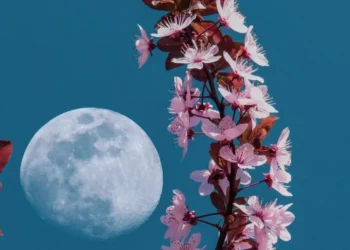 که سپوږمۍ شوله ناوخته، لاره نه رانه ورکیږي
